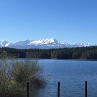 Forstsee