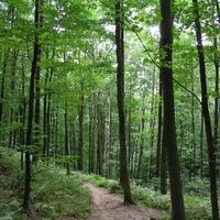 Siebengebirge