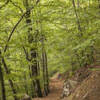 Auf dem Zauberweg am Hasenhorn