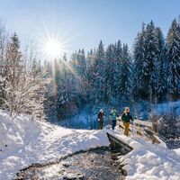 Scheffau_Winterwandern_Rehbach_Wilder Kaiser