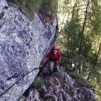 Das Herzstück des Wasserfallwegs. Steile Leitern mit Drahtseil
