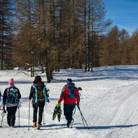Wanderweg Monterotta