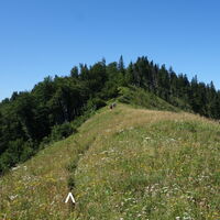Übergang Kleiner Almkogel Brunnbacheck
