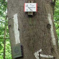 Salzgitter-Bad, große Wegekreuzung auf dem Knickelnberg Wanderwege 15, 17 und 18