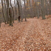 Am Rückweg von der Lourdesgrotte