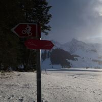 Kreuzung mit Loipe - Schwefelbergbad Trail