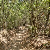 Trail zum Blutsee