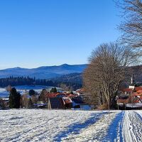 Winterwanderweg zurück nach Herzogsreut