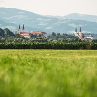 Blick auf die Domkirche und die Basilika Maria Loreto
