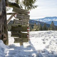Joglland-Winter-Print-171.jpg