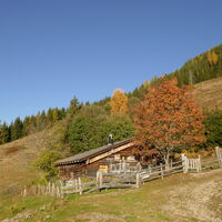 die schön gelegene Kammeregg Alm