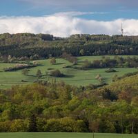 Blick auf den Hohen Hagen von Westen
