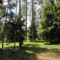 Thernberg - Kaltenberg (Maria Schnee) - Lichtenegg - Stickelberg - Wiesmath