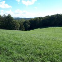 Höhenweg-Verlauf kurz vor Lauterecken