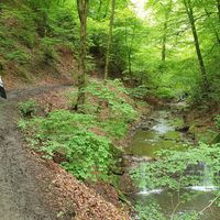 Kleiner Fall