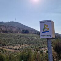 BestWeg Andreasberg Stüppelblick