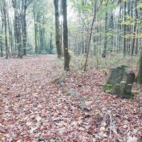 Grenzstein Nr. 66 nahe Bad Salzuflen