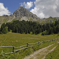 Pozza - Val San Nicolò ©Archivio APT Val di Fassa