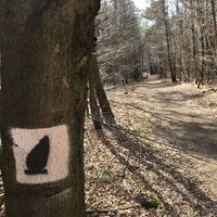 Parallel zur Mehlinger Heide (Grenzsteinweg)