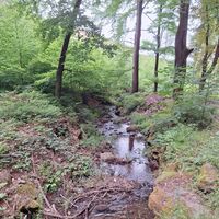 Rodebach