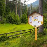 Infotafel am Bienenlehrpfad Reith