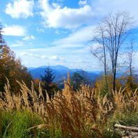Pernitz/Ortmann - Hohe Mandling - Waxeneckhaus - Auf dem Hals - Kreuth - Muggendorf