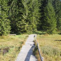 S508 Spechtensee Runde, Wanderweg rund um den Spechtensee