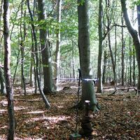 Wolfpassinger Berg höchster Pkt. Westseite