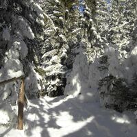 Winteridylle auf der Saualpe