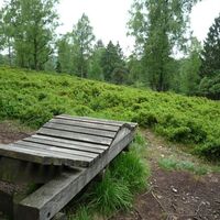 Landschaftsliegen bieten eine schöne Aussicht