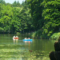 Bootfahren auf dem Tüschenbroicher Weiher
