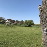 Potzbach