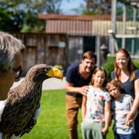 Greifvogelpark Buchs