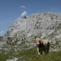 Gruoba Sulzfluh