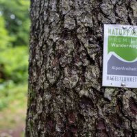 Auf dem Premiumwanderweg "Alpenfreiheit"