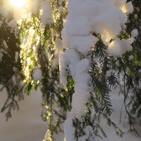 Winteridylle bei Schwarzenbach