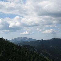 Hinternaßwald - Grenzriegel - Amaißbichl