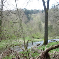 nahe der Furt
