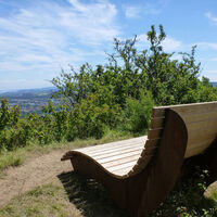 Himmelsliege mit Blick auf den Untersee