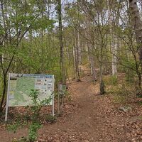 Blick zurück auf die Serpentinen am Kaisersteinweg