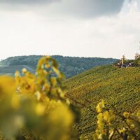 Weinausschank im Zweifelberg | Brackenheim | HeilbronnerLand