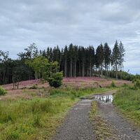 IMG20240618074114.jpg