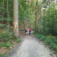 Wandern Hinterbrühl in der Oststeiermark