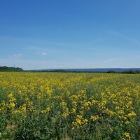 11_ausblickbosseborn_hx3_stephanberg