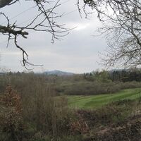 Blick Richtung Kasselburg