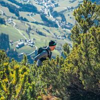 Trailrunner Latschen Gratlspitze
