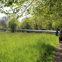 Moorspaziergang