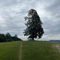 Weiter zum kleinen Aussichtspavillon