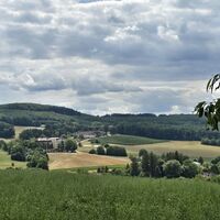 Laab im Walde
