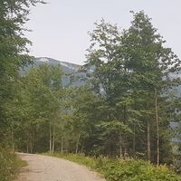 Fahrt an den Hängen des Sulzkogels
